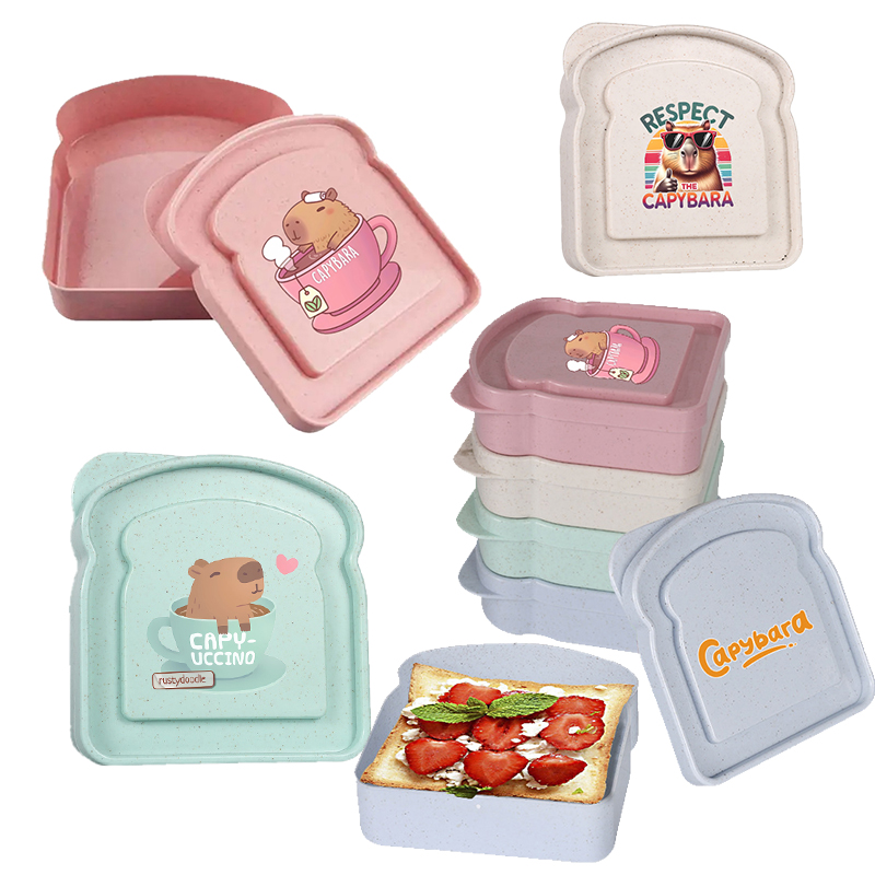 Food Storage Jars Plastic - Capybara Sandwich Food Storage Case Container