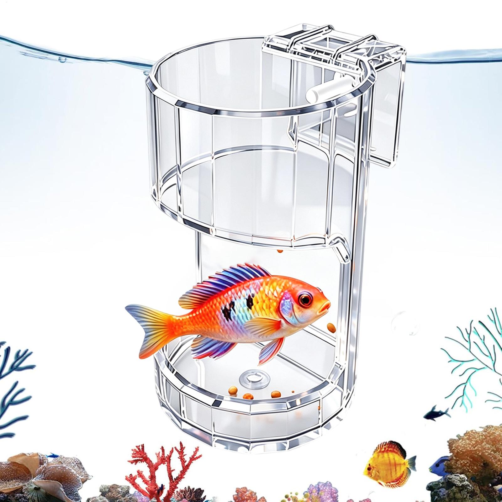 Aquarium Feeding Dish Transpar - Food Storage Room ulasan dan harga