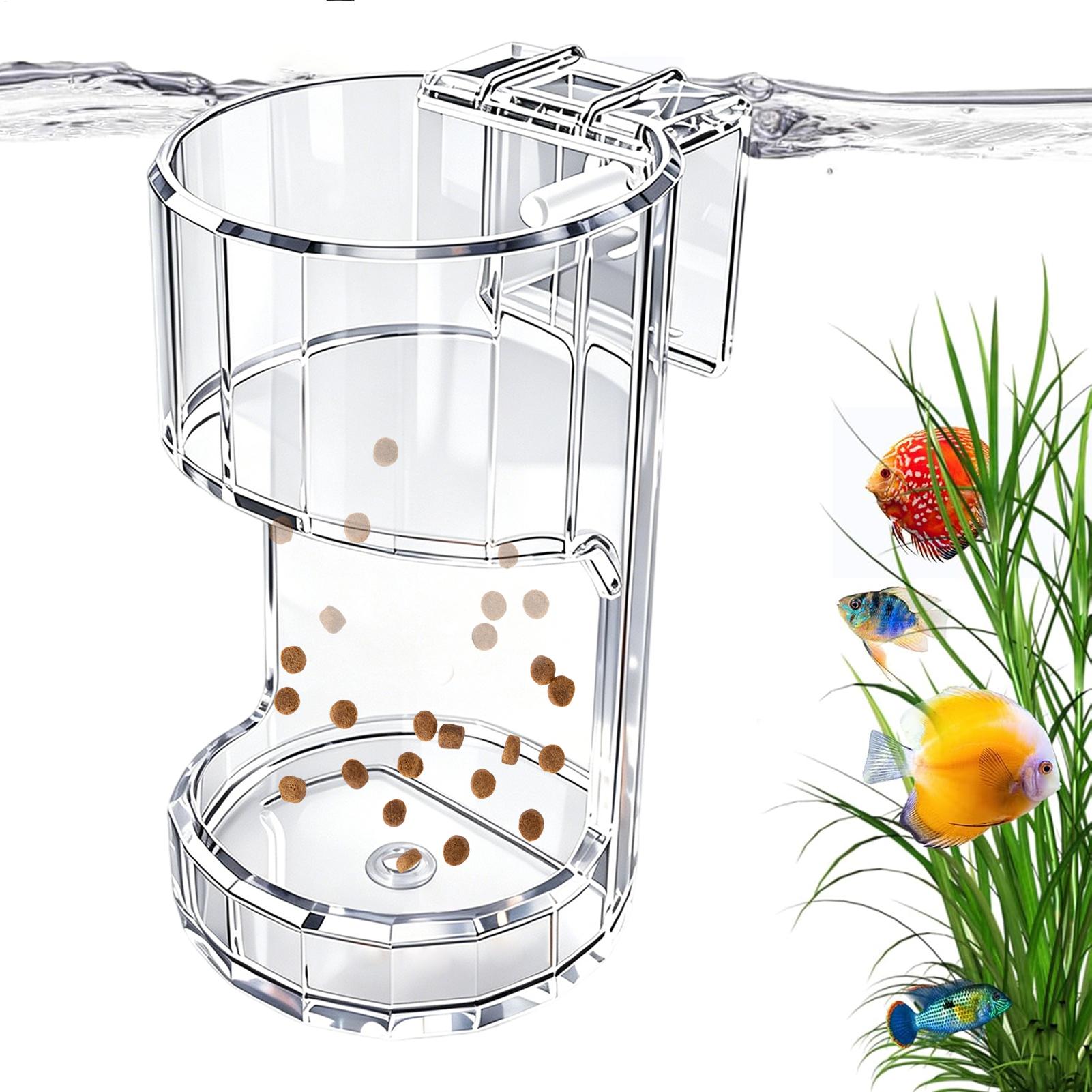 Aquarium Feeding Dish Transpar - Food Storage Room ulasan dan harga