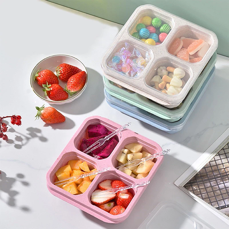 4 Grids Food Storage Box Porta - Food Storage Vegetables ulasan dan harga