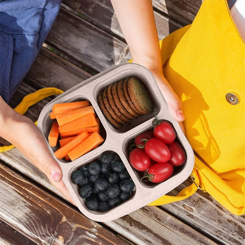 4 Grids Food Storage Box Porta - Food Storage Vegetables ulasan dan harga