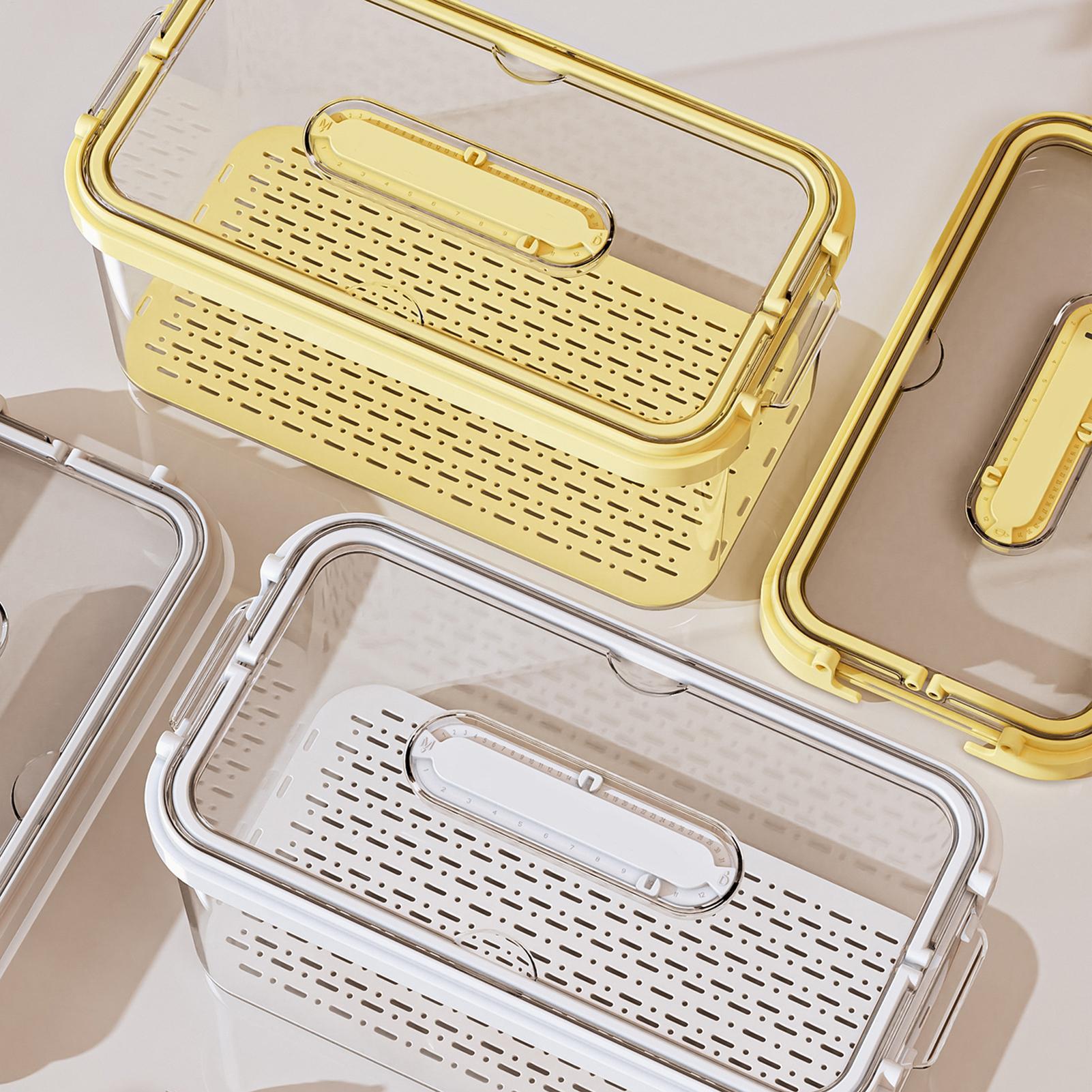 Fridge Food Storage Containers - Food Storage Vegetables ulasan dan harga