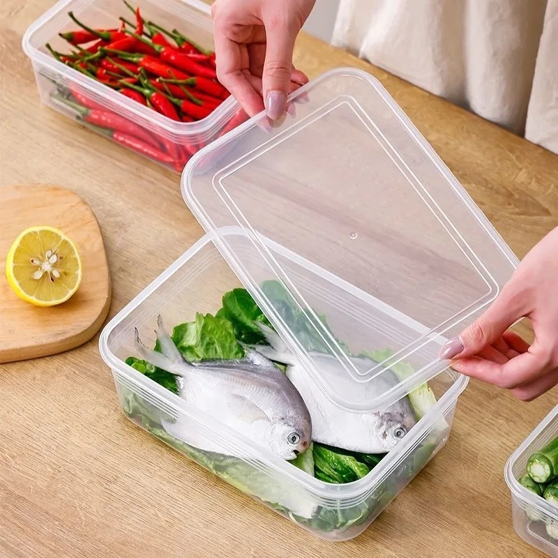 Refrigerator Storage Box Meat  - Food Storage Vegetables ulasan dan harga